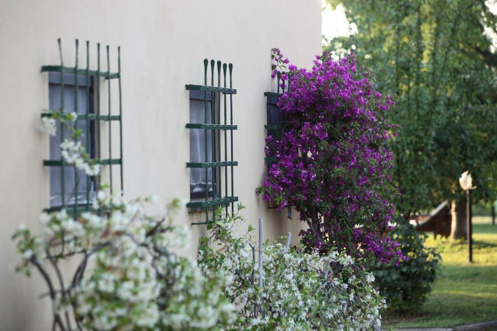Agriturismo Le Pianore Montespertoli Exteriér fotografie