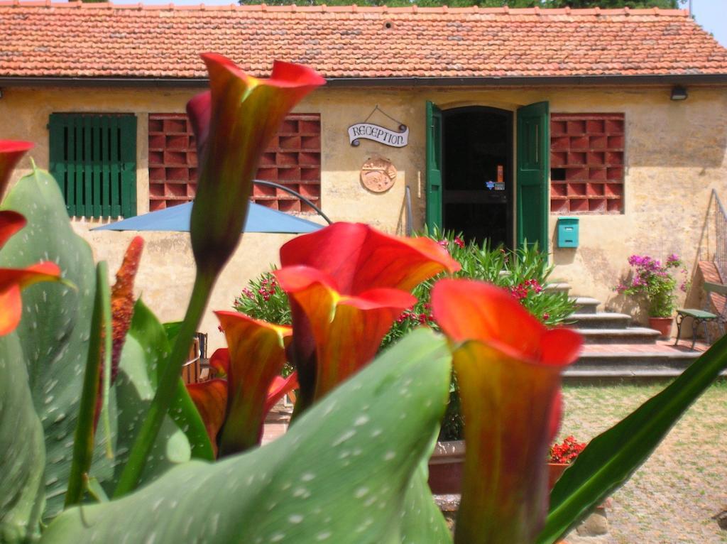 Agriturismo Le Pianore Montespertoli Exteriér fotografie